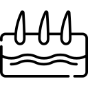 normal-skin